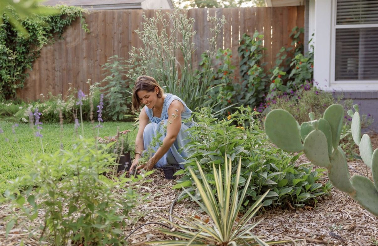 Amy planting a native garden bed in Fort Worth, surrounded by salvias, prickly pear, and pollinator plants